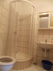 a bathroom with a shower and a toilet and a sink at Apartments and Rooms Jasna in Hvar