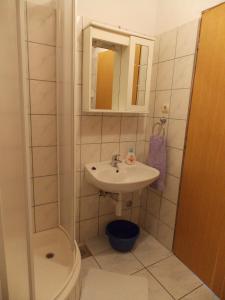 a small bathroom with a sink and a shower at Apartments and Rooms Jasna in Hvar