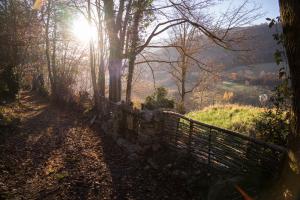 a path in the woods with the sun shining through the trees at Vie d'Estive in Bagnères-de-Bigorre