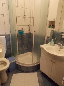 a bathroom with a shower and a toilet and a sink at Apartments and Rooms Jasna in Hvar