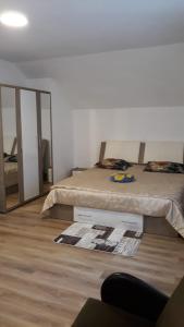 sypialnia z 2 łóżkami i lustrem w obiekcie Casa Mariana w mieście Căpăţîneni-Ungureni