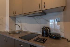 Kuchyň nebo kuchyňský kout v ubytování AURA APARTMENTS