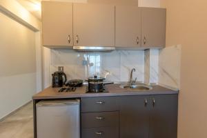 Kuchyň nebo kuchyňský kout v ubytování AURA APARTMENTS