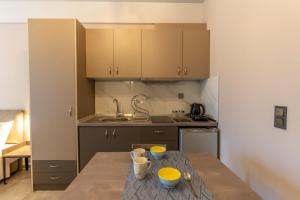 Kuchyň nebo kuchyňský kout v ubytování AURA APARTMENTS
