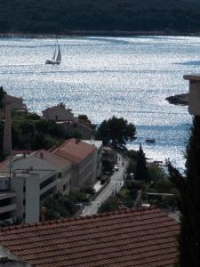 a sail boat in the water with a street and buildings at Apartments and Rooms Jasna in Hvar