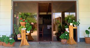 an entrance to a flower shop with potted plants at Old City Hotel in Kutaisi