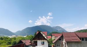 un groupe de maisons avec des montagnes en arrière-plan dans l'établissement Piatra Craiului Residence Zărnești, à Zărneşti