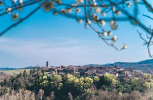 Afbeelding uit fotogalerij van Montalcinello Casavolta WIFI, aria condizionata in Montingegnoli