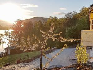 a tree with white flowers on it in a driveway at 6 person holiday home in Tau in Tau