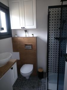 a bathroom with a toilet and a sink and a shower at Domek letniskowy na Kaszubach, Borowy Młyn, jezioro Gwiazda in Borowy Młyn