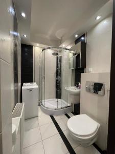 y baño con ducha, aseo y lavamanos. en 02 Gdynia Centrum - Apartament Mieszkanie dla 2 os en Gdynia