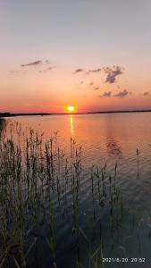 a sunset over a body of water with grass at Domek holenderski in Sztynort