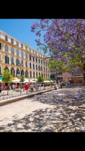 uma rua com um edifício e uma árvore com flores roxas em Apartamentos Alcazaba em Málaga