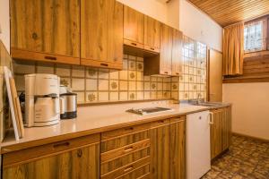 a kitchen with wooden cabinets and a white appliance at Apartment Gantkofel Leilichhof in Lana