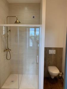 a bathroom with a shower and a toilet at CHAMBRE BALCON in Pons