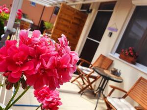 Un mazzo di fiori rosa in un vaso su un portico di Lavendel apartments a Hévíz