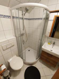 a bathroom with a shower and a toilet and a sink at Ferienhaus Gonsbach in Mainz