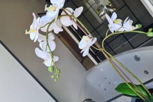 a bunch of white flowers in a vase next to a sink at Phils Cottages - Gîte - Vakantiewoning Philled With Love in Érezée