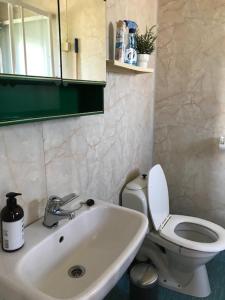 La salle de bains est pourvue de toilettes blanches et d'un lavabo. dans l'établissement Bogstrand, Dverbergveien 11, 8485 Dverberg, à Dverberg