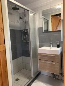 a bathroom with a shower and a sink and a mirror at Familiehuis in Diever