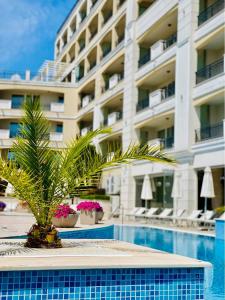 a palm tree in front of a large building at Penelopa Palace Apart Hotel & SPA in Pomorie