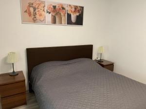 A bed or beds in a room at Apartament TT10 Botanicka