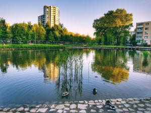 un étang avec des canards dans l'eau d'une ville dans l'établissement No.4 Apartment Link-To-Happiness, à Klaipėda