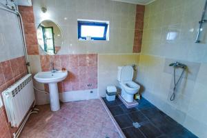 BalkanetsにあるGuest House Planinska Sreshtaのバスルーム(洗面台、トイレ、鏡付)