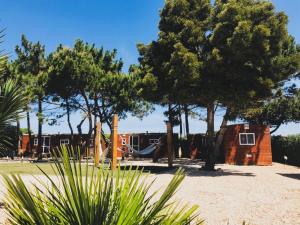 um parque com rede e algumas árvores em The Lighthouse Hostel em Sagres