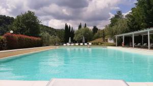 a large blue swimming pool in a yard at Bio Agriturismo Valle dei Calanchi in Castiglione in Teverina