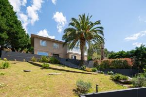 a house with a palm tree in a yard at Casa Boa in Porto do Son