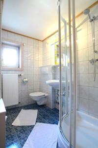 a bathroom with a shower and a sink and a toilet at Landhaus Alpenrose - Feriendomizile Pichler in Heiligenblut