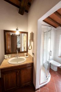 Vannituba majutusasutuses Hotel Vecchia Oliviera