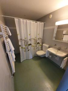 a bathroom with a sink and a toilet and a shower curtain at Herisau Apartments in Herisau