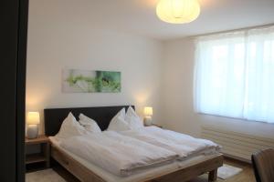 Ένα ή περισσότερα κρεβάτια σε δωμάτιο στο Herisau Apartments
