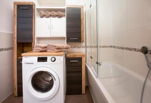 a bathroom with a washing machine and a shower at FeWo 01 im Carré Charlott in Pulsnitz