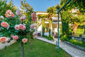 a garden with pink roses in front of a house at Apartmani Cupar in Poreč