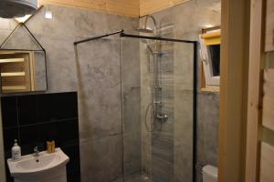 a shower with a glass door in a bathroom at Buddha house in Ustrzyki Dolne