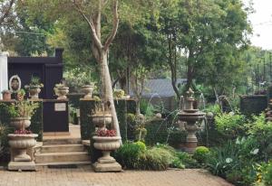 a garden with many pots of plants and a tree at At 98 on Lynburn Guest House in Pretoria