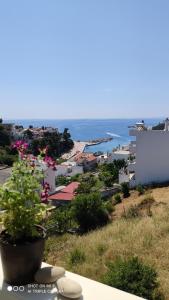 a potted plant sitting on a ledge overlooking a city at Iason studio 4 in Patitiri +14 photos