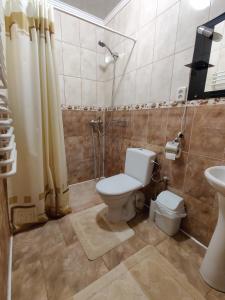 a bathroom with a toilet and a shower and a sink at Зелена садиба Валило in Kosiv