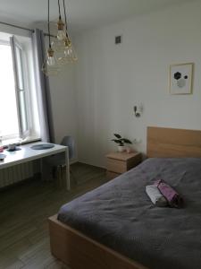 Katil atau katil-katil dalam bilik di Flat Femina Street