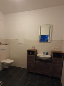 a bathroom with a toilet and a sink and a mirror at De Strandloper in Garz