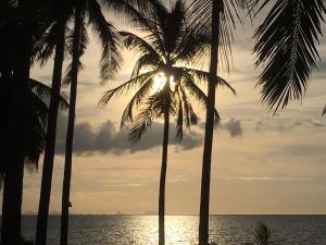a group of palm trees in front of the ocean at Jasmine & Tea House in Mae Nam
