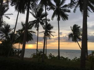 a group of palm trees on the beach at sunset at Jasmine & Tea House in Mae Nam