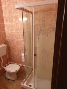 a bathroom with a toilet and a glass shower at city center apartment 1 in Niš +6 photos