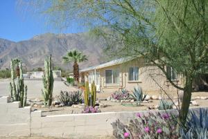 a house with a bunch of cacti in a yard at Borrego Springs Motel in Borrego Springs