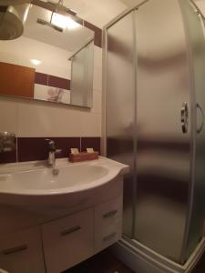 y baño con lavabo y ducha. en Apartman Bukaleta in Loznati, en Loznati