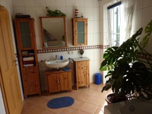 a bathroom with a sink and a mirror and a plant at Ferienwohnung Aschka in Schönsee