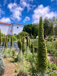 un jardin avec une bande de plantes devant un bâtiment dans l'établissement Hotel Rural Vilaflor Self check in 24h, à Vilaflor